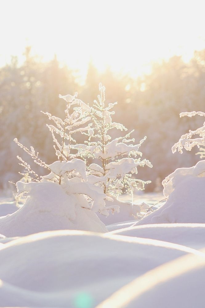 Photograph by Вероника Герасимова