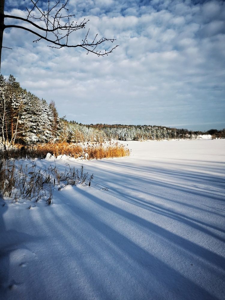 Photograph by Елена Артёменко