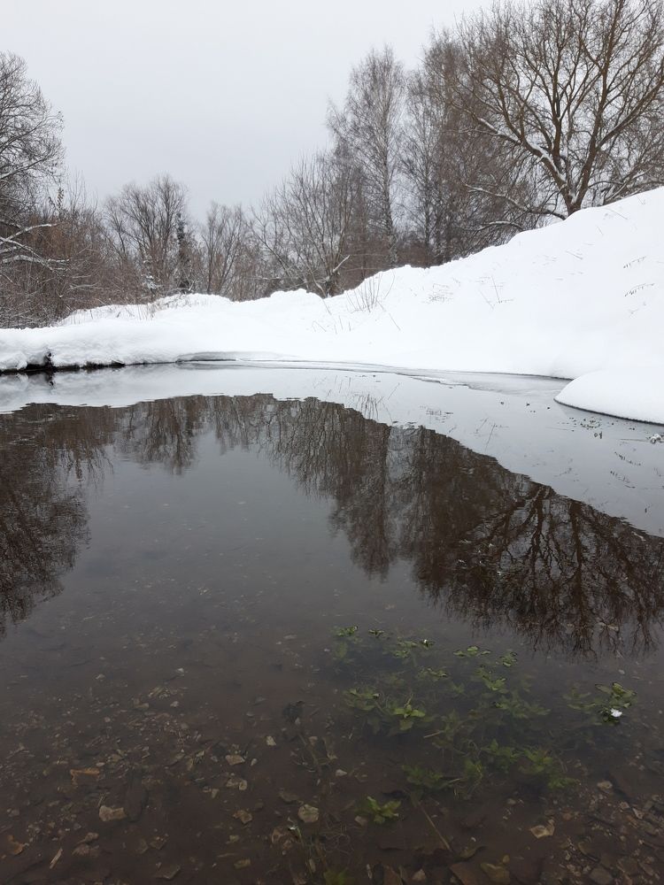 Photo #8547183