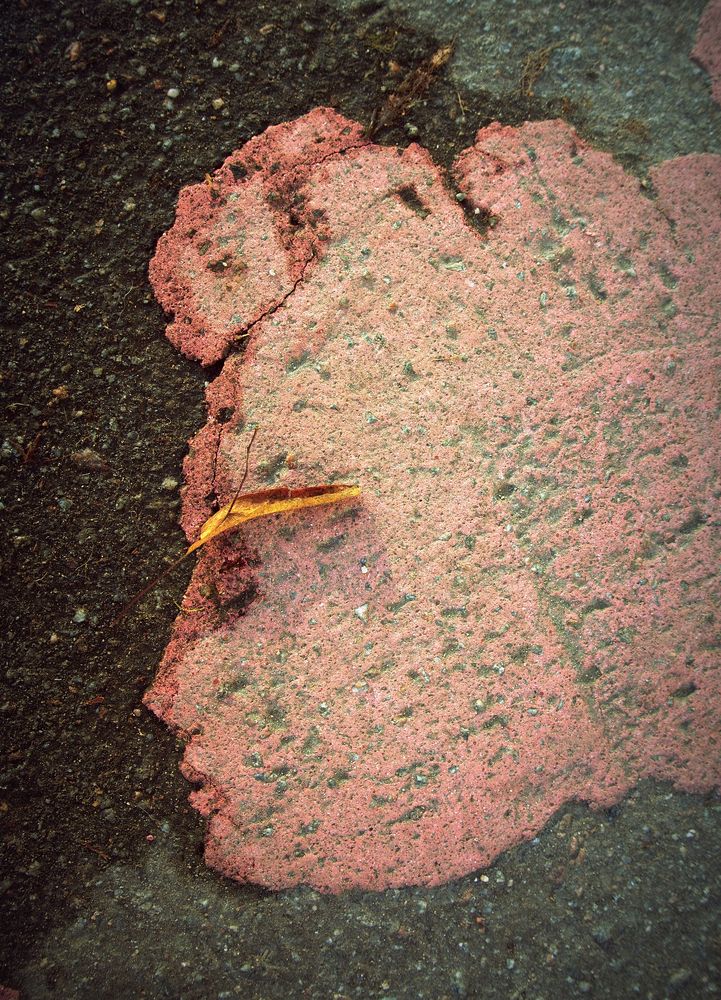 Photograph by Илья Илья