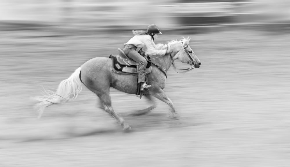 Фотография автора Liyan Dai