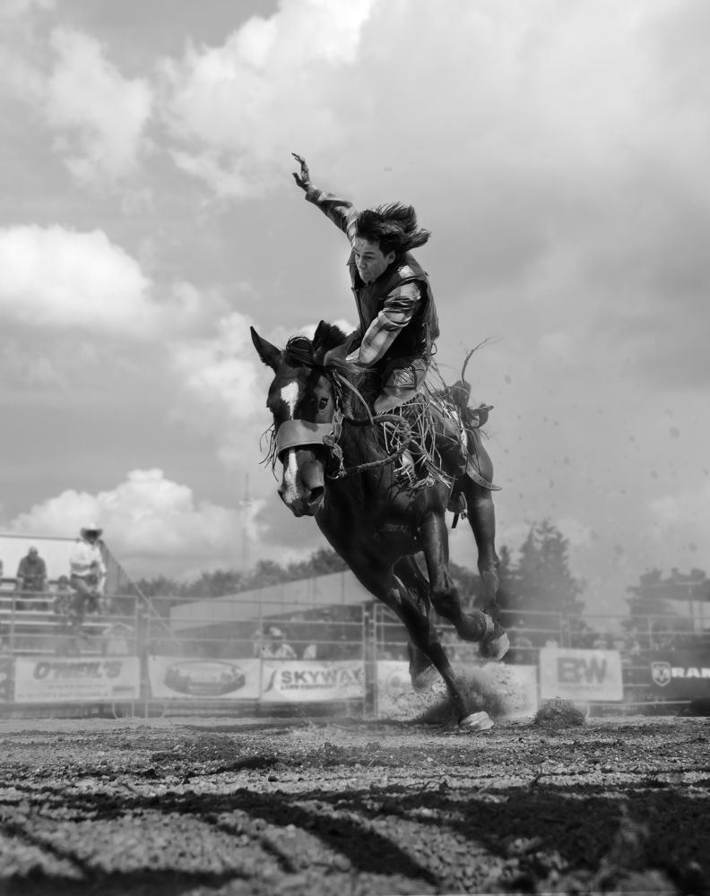 Фотография автора Liyan Dai