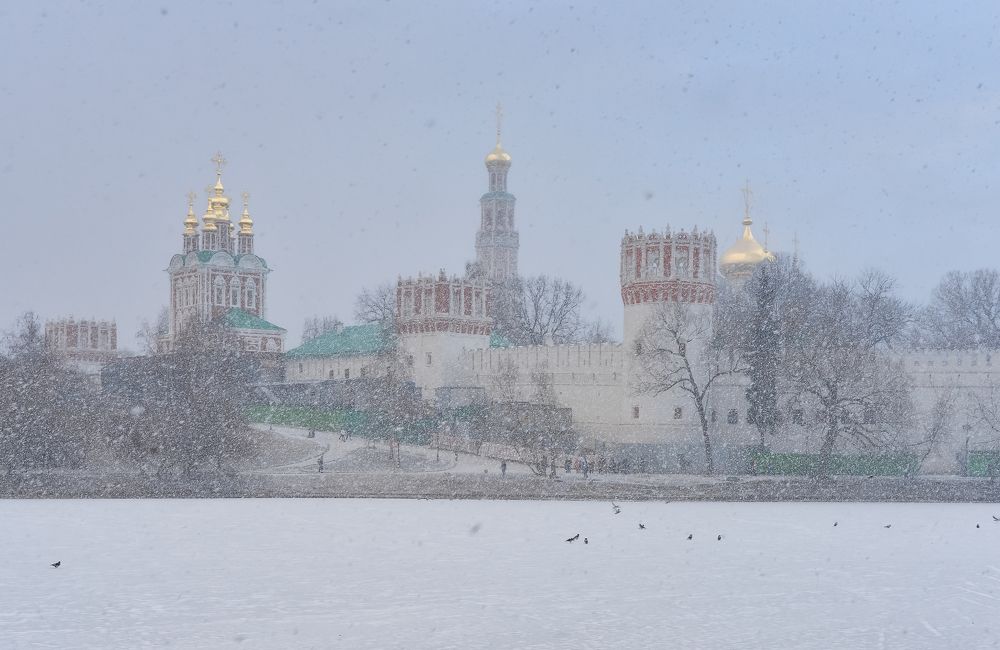 Photograph by Olga Mendosa