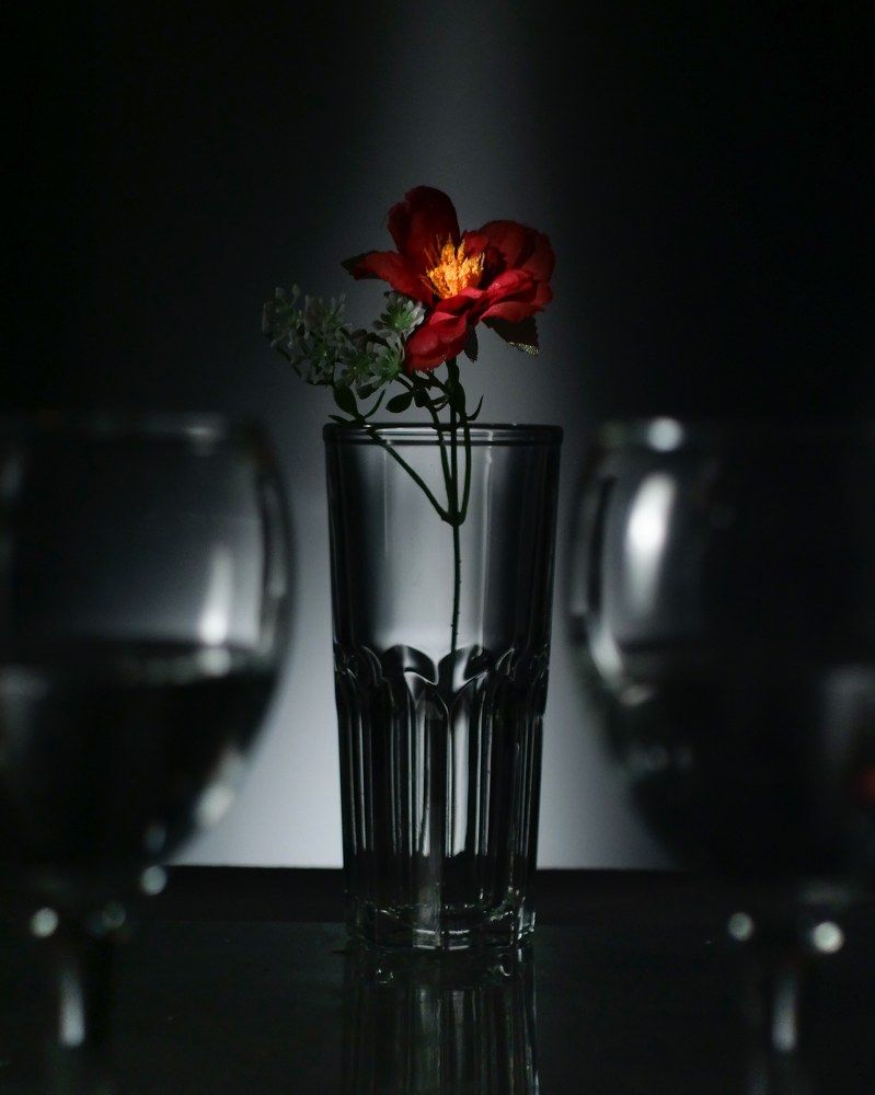 Photograph by Адиль