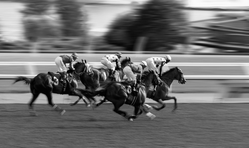 Фотография автора Liyan Dai