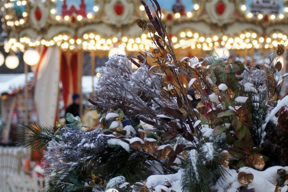 зимний букет на площади