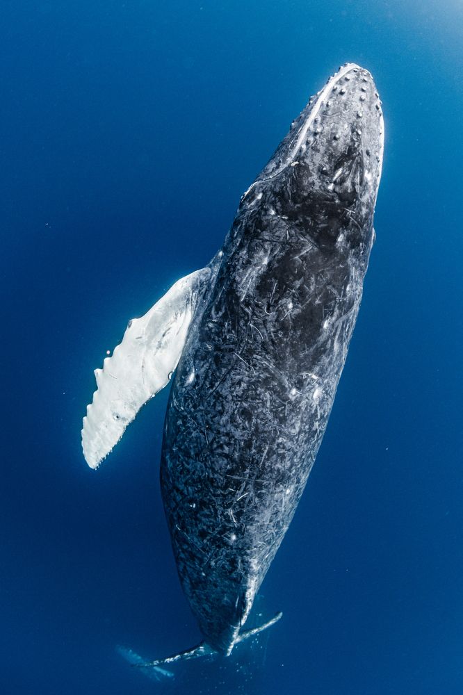 Photograph by KURASHIMA DAISUKE