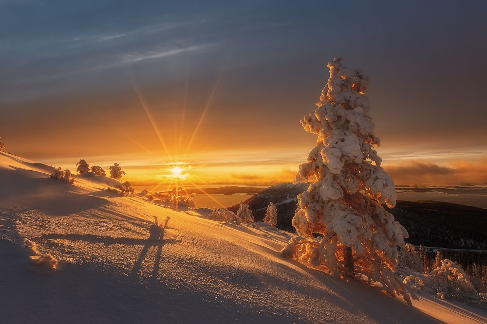 Photograph by Константин Маланин