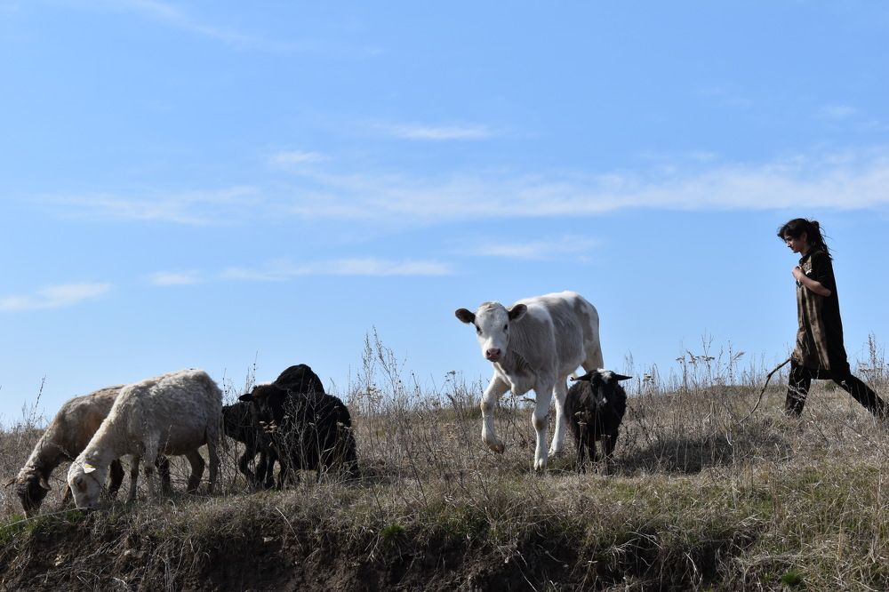 Photograph by Ульяна Салихова