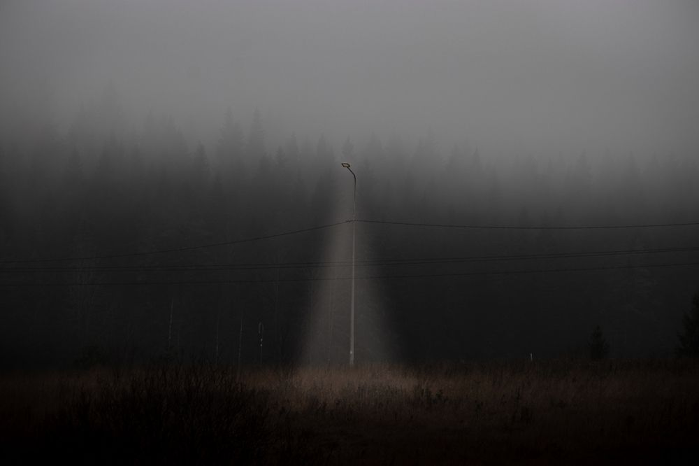 Photograph by Sergey Larionov