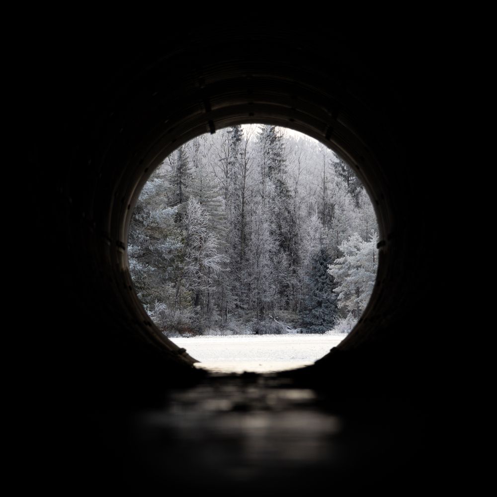 Photograph by Sergey Larionov