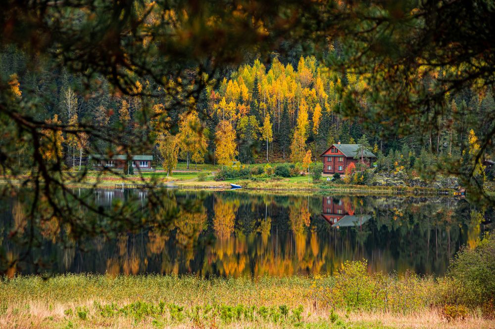 Photograph by Sergey Larionov