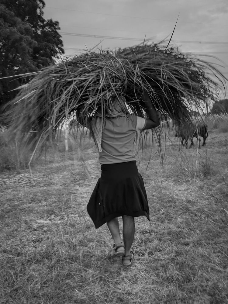 Photograph by Vijayakumar