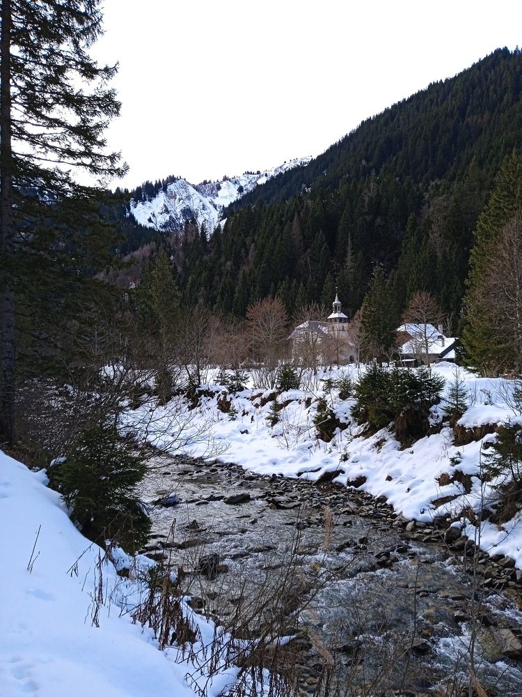 Фотография автора Елена Чернова