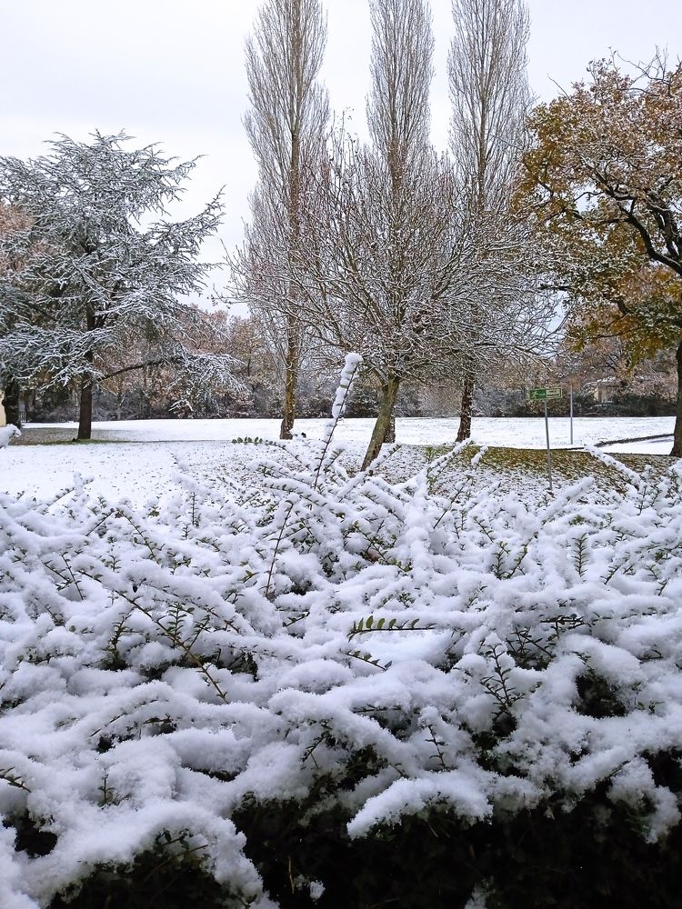 Фотография автора Елена Чернова