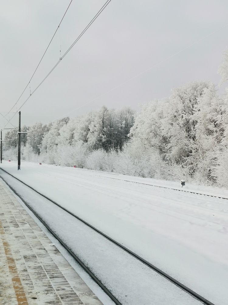 Фотография автора Хабиба Ахмедова