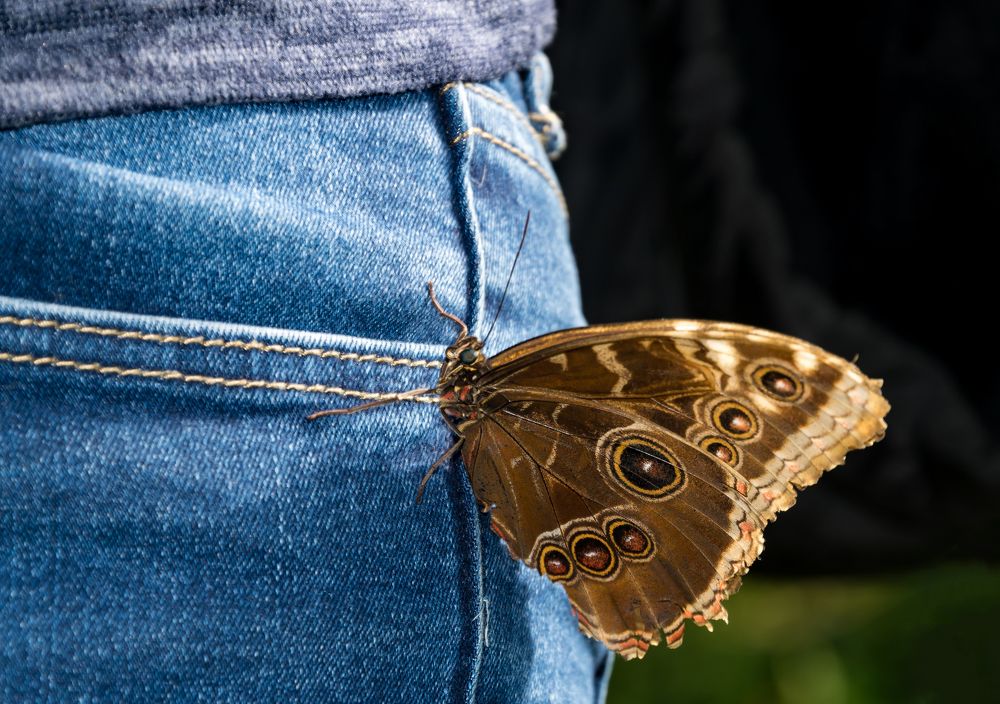 Photograph by Ivars Andrups