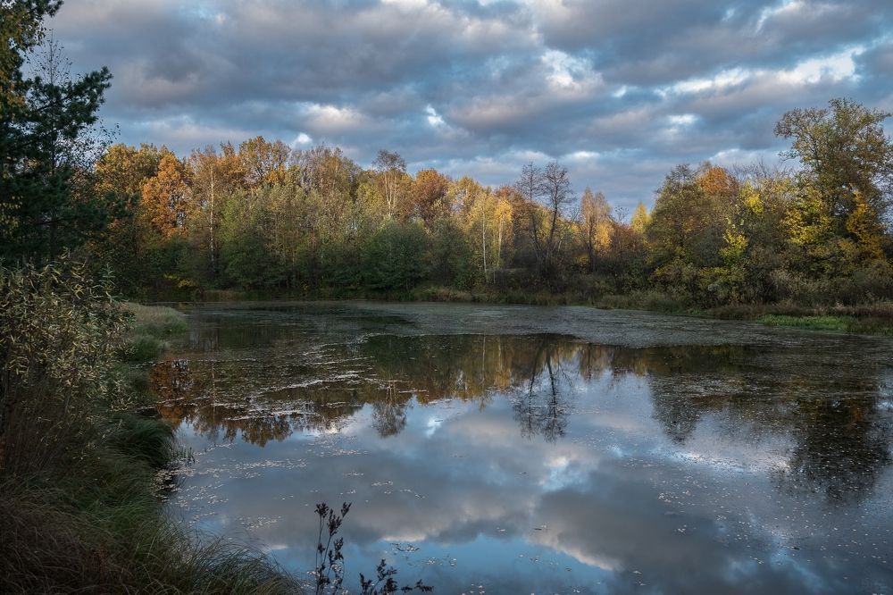 Photograph by Виктор Рыков