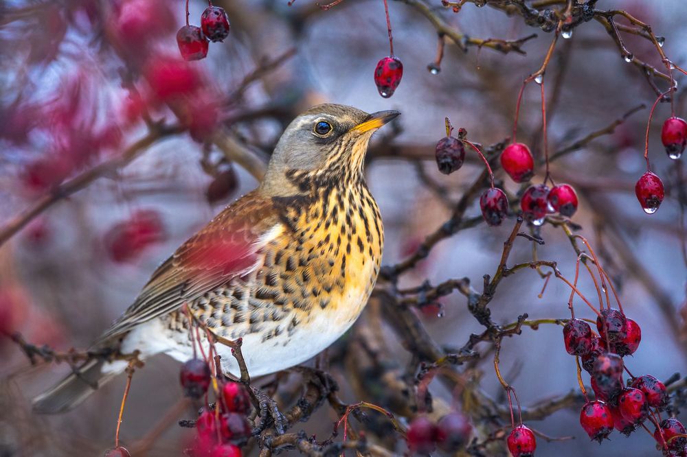 Photograph by Власов Егор