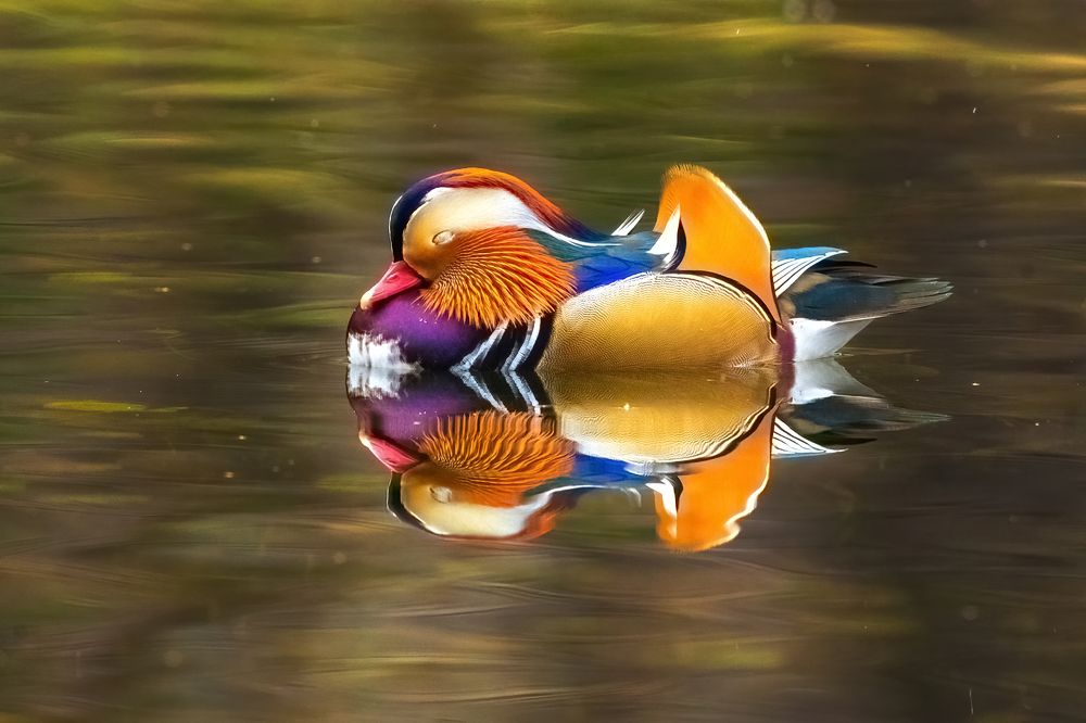 Photograph by Власов Егор