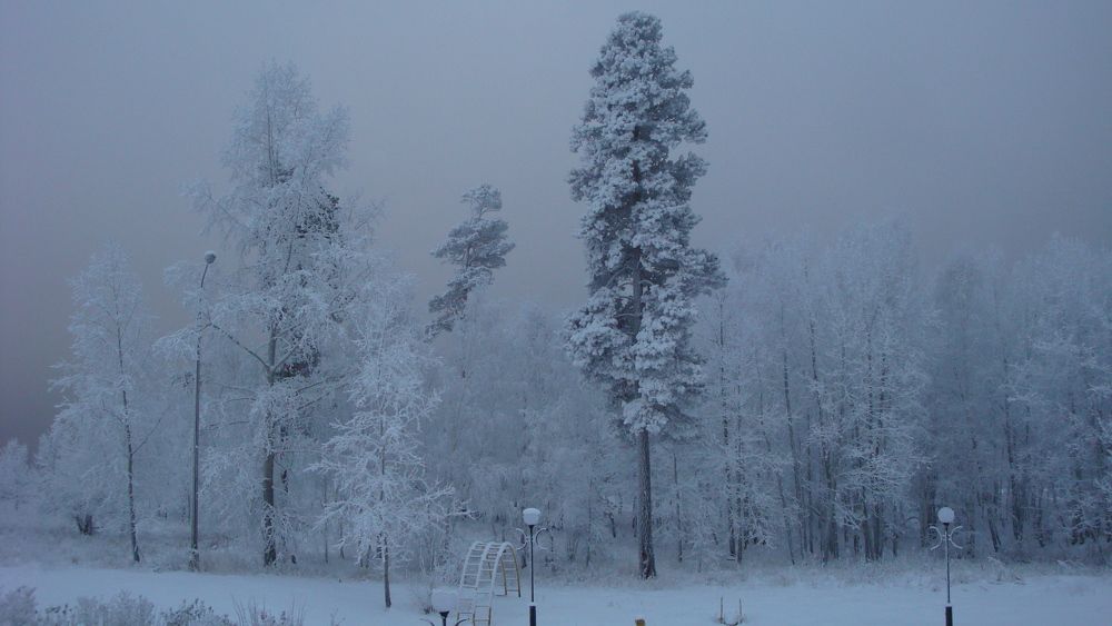 Photograph by Александра Пухкалова