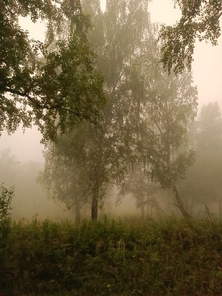 Photograph by Татьяна Cамсонова