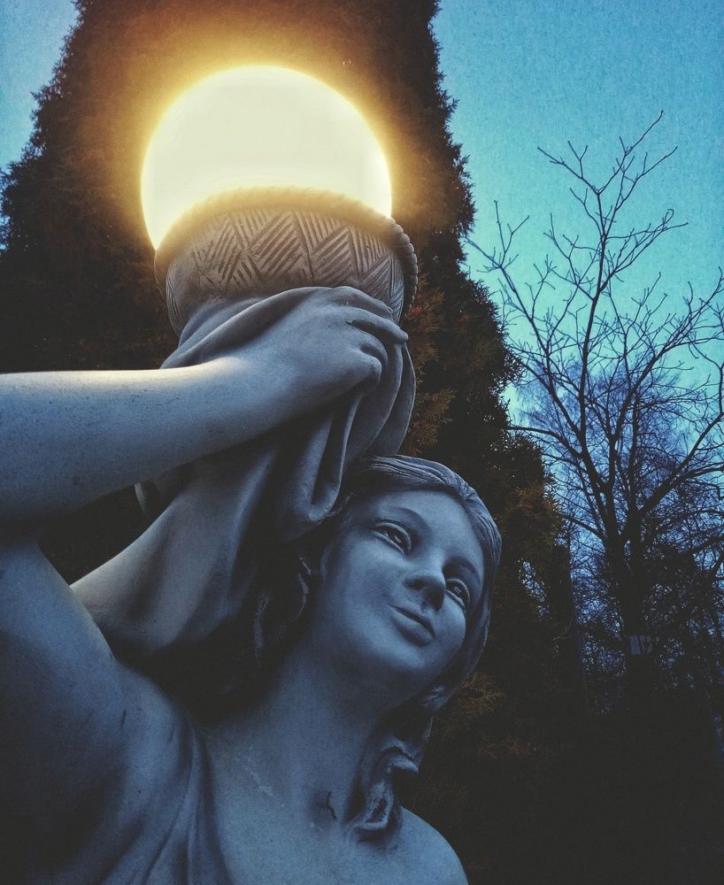 Photo #8547659