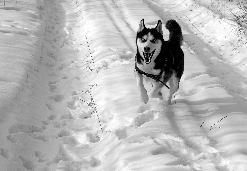 Фотография автора Nelya  Lysenko