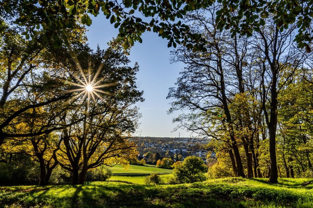 Photograph by Waldemar Graf