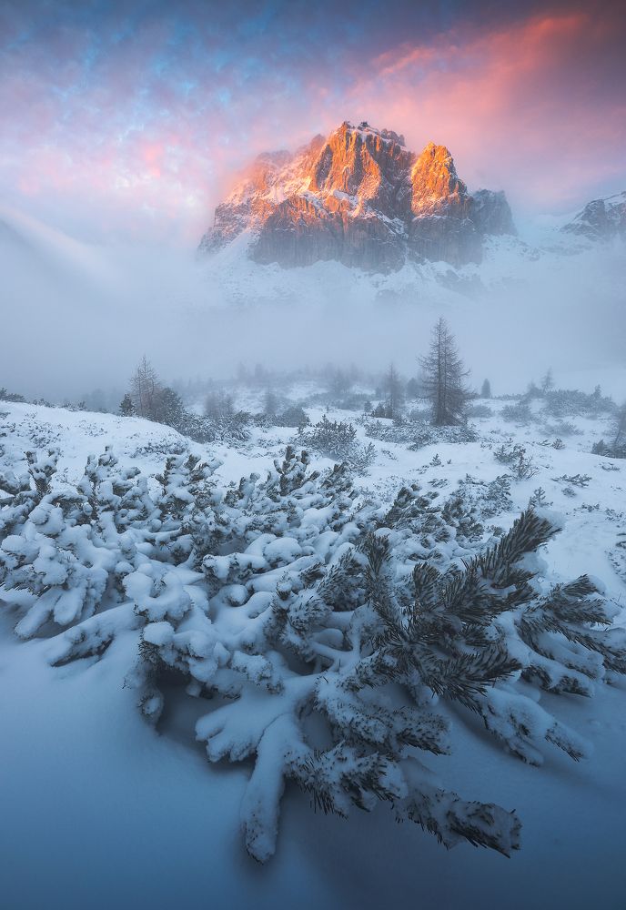 Photograph by Roksolyana Hilevych