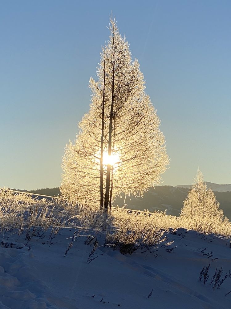 Photograph by Елена Караваева