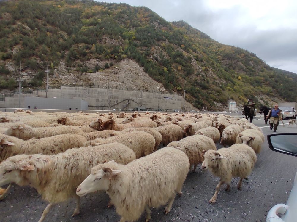 Фотография автора Эмма Марзоева