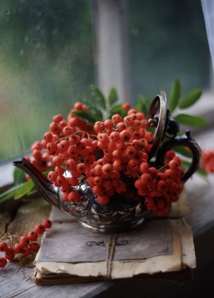 Photograph by Валентина Зуб