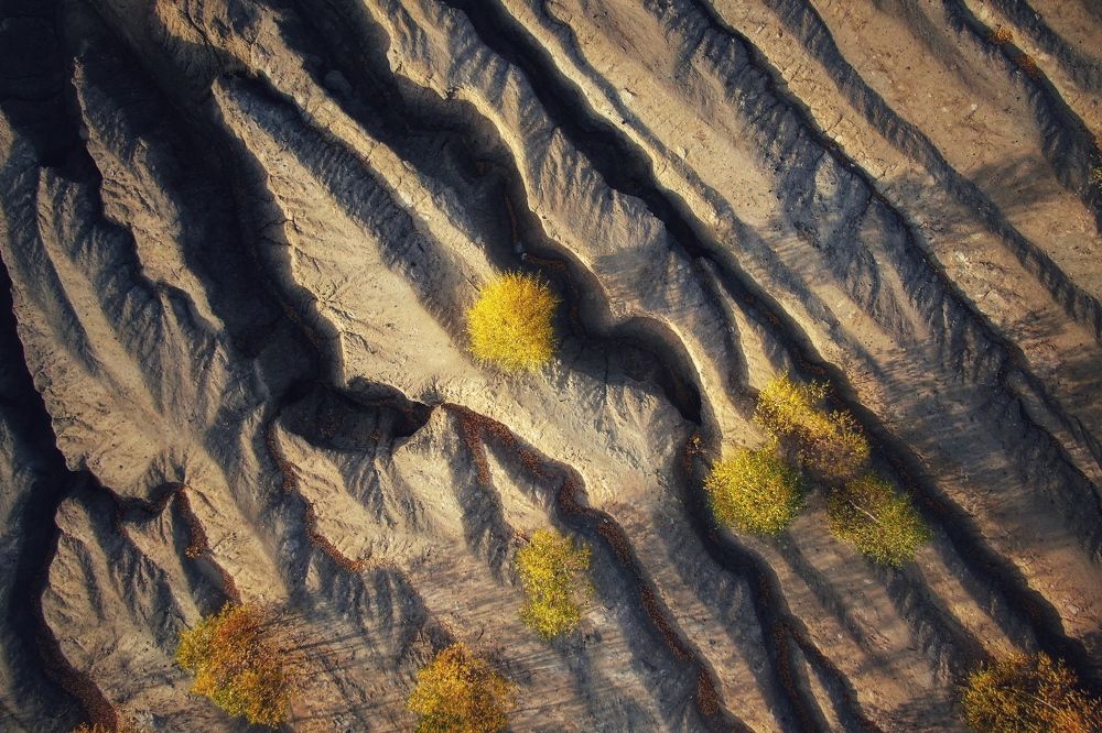 Photograph by Мария Акимова