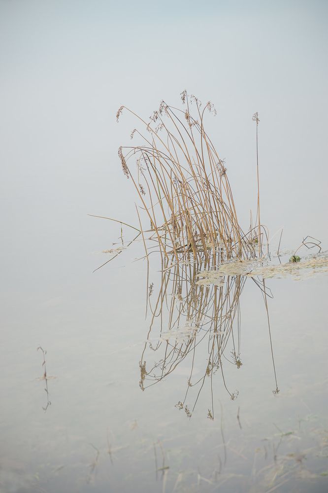 Photograph by Вадим Пасека