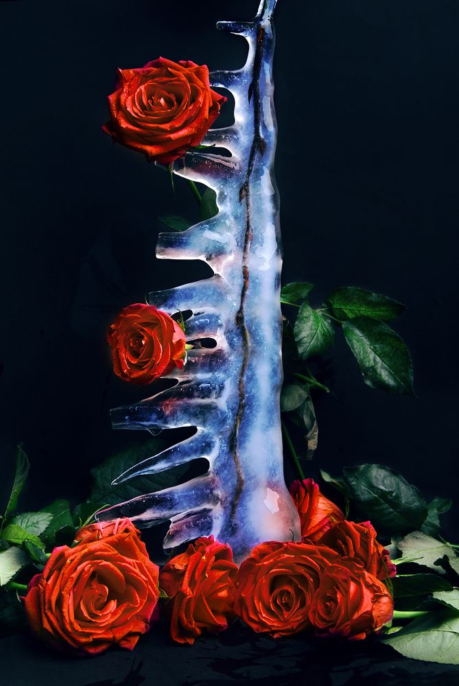 Photograph by Dasha Art