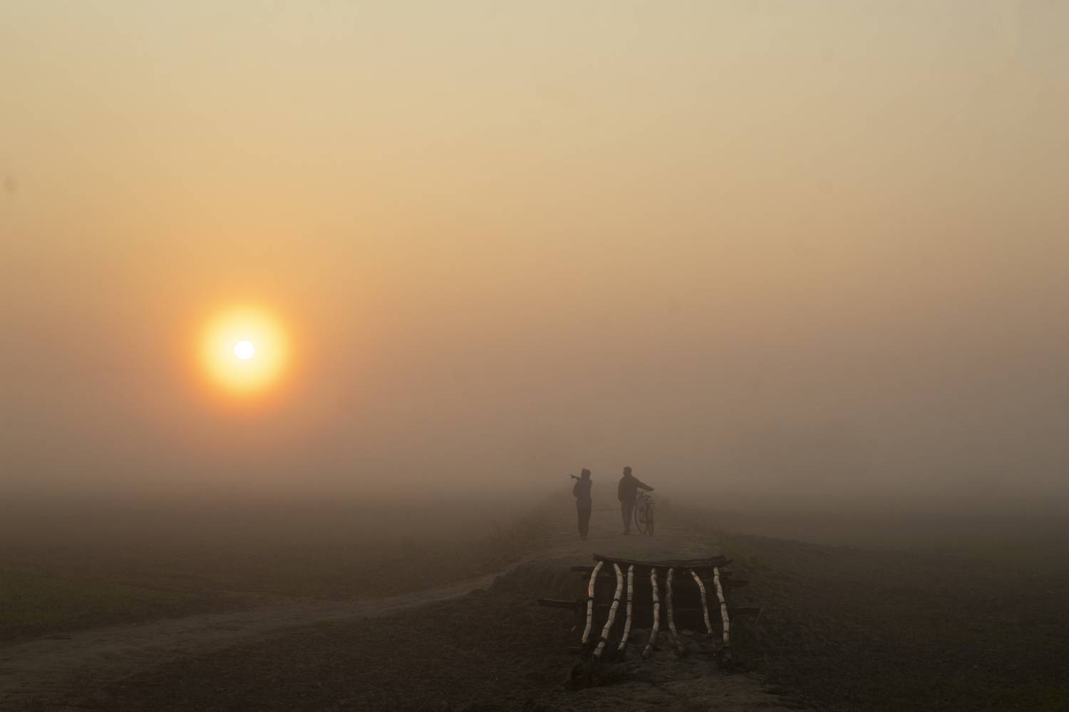 Photo #8548057