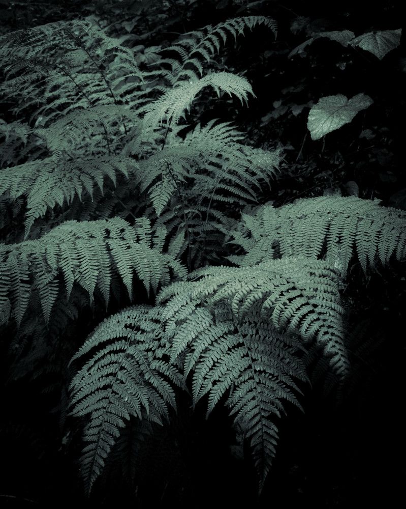 Photograph by Kirill_P