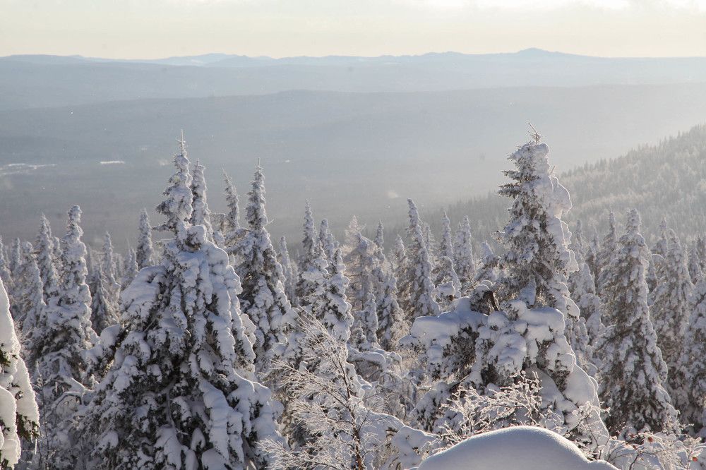 Photograph by Наталия Гвоздева