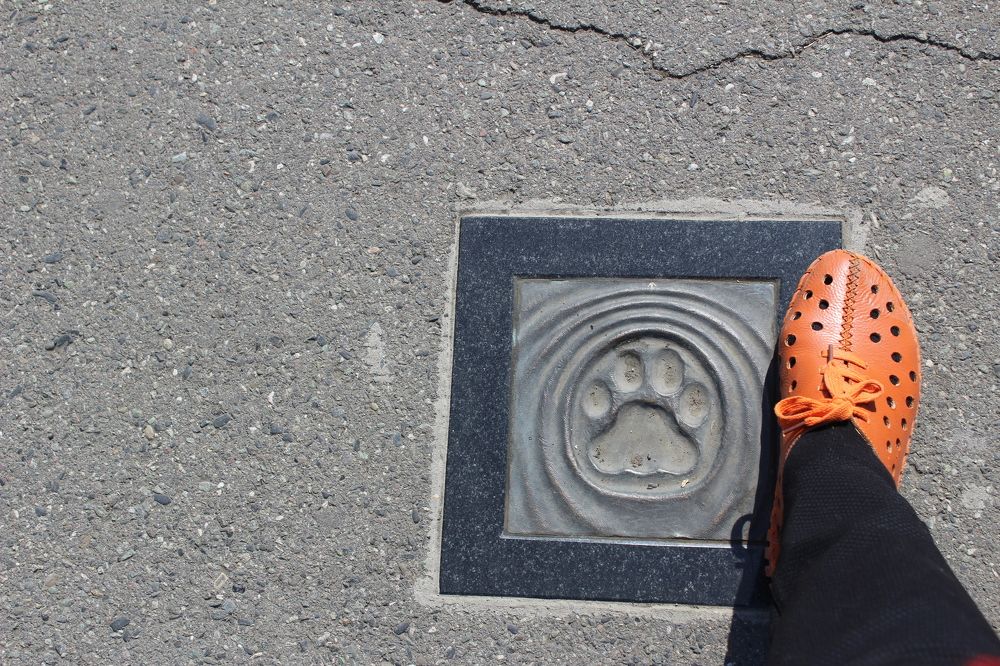 Photograph by Люция Кутлугужина