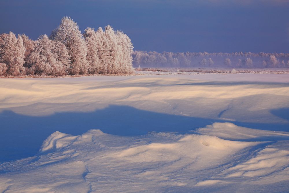 Снежные дали.