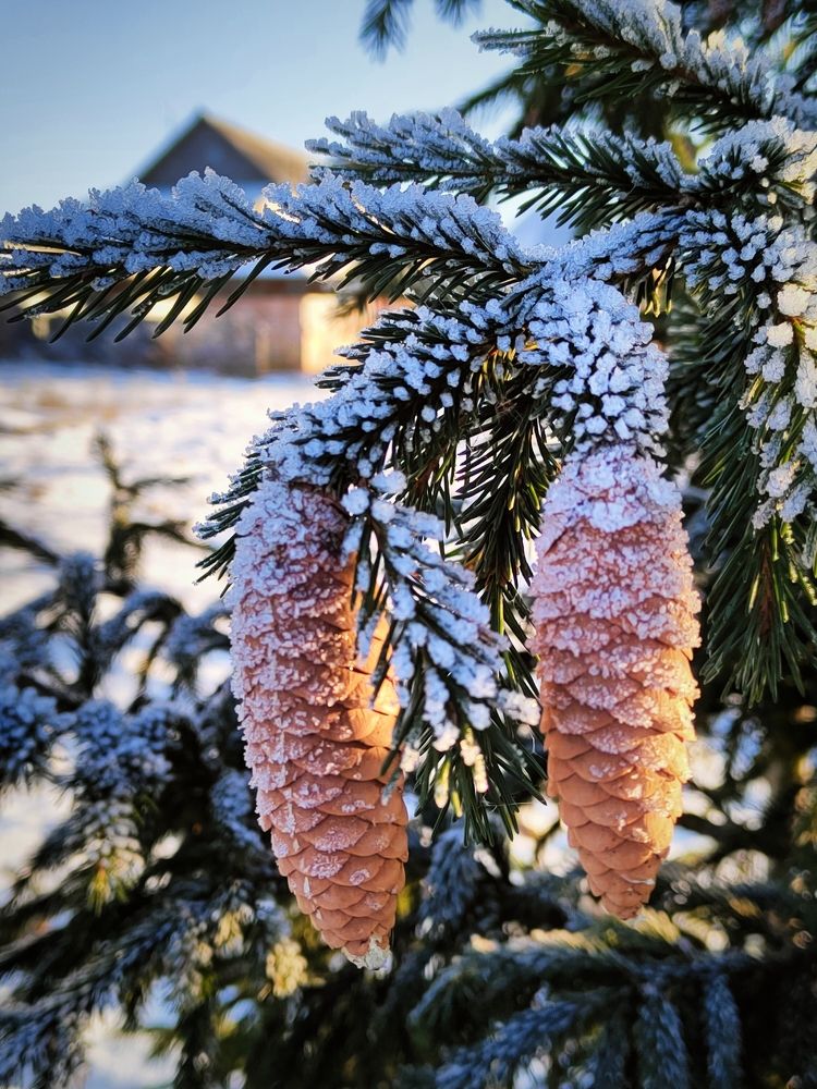 Photograph by Александр Кокурин