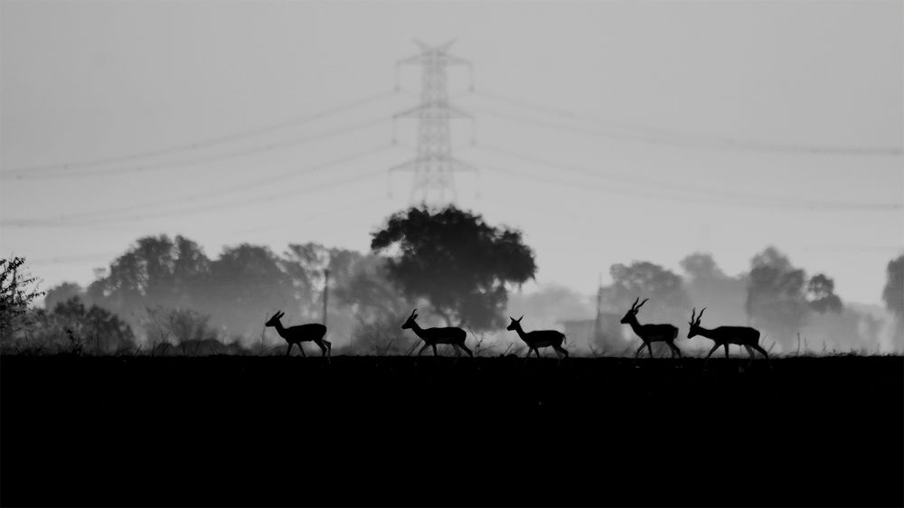 Photograph by Tushar Ambadkar