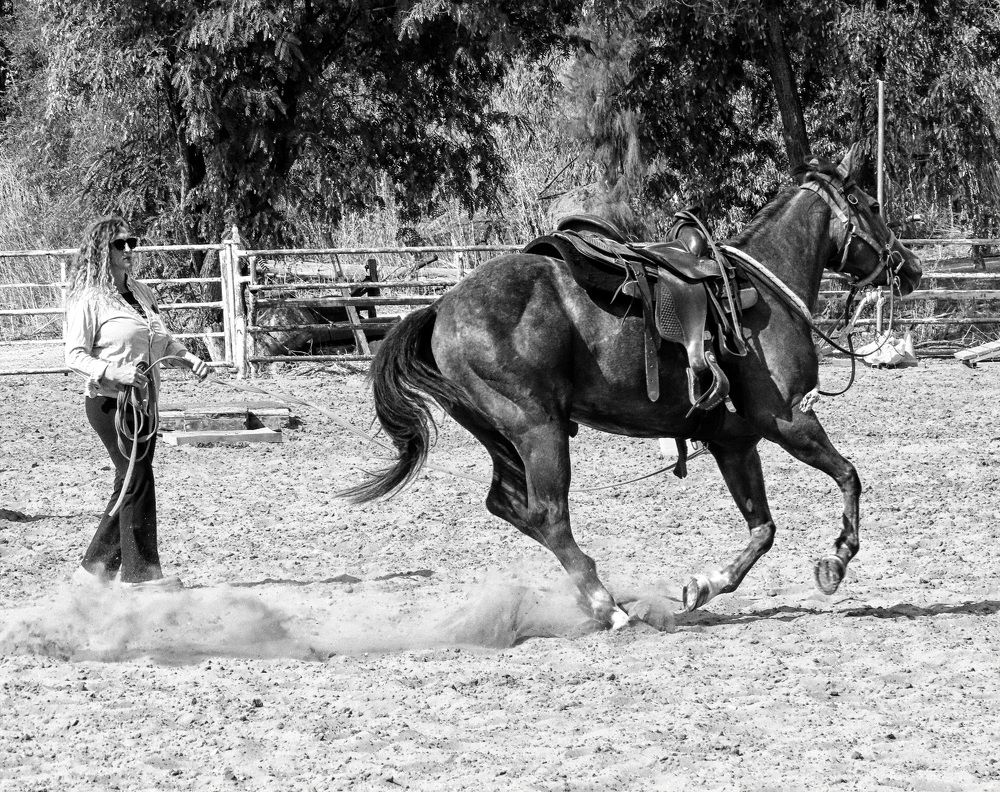 Photograph by Drora Baharal