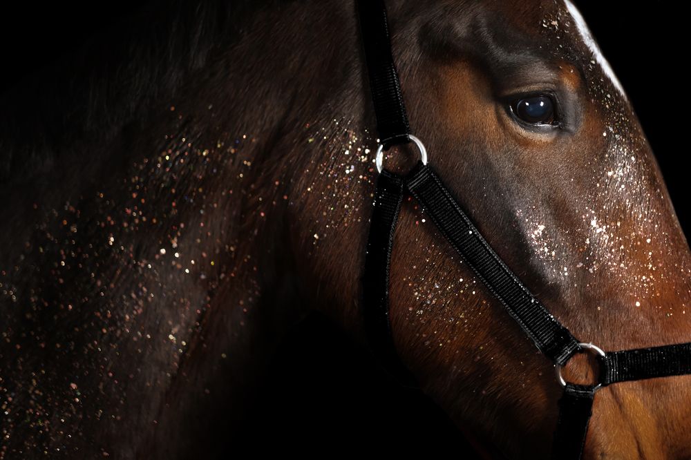 Photograph by Яковлева Лора Алексеевна