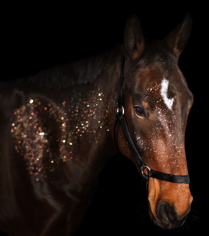 Photograph by Яковлева Лора Алексеевна