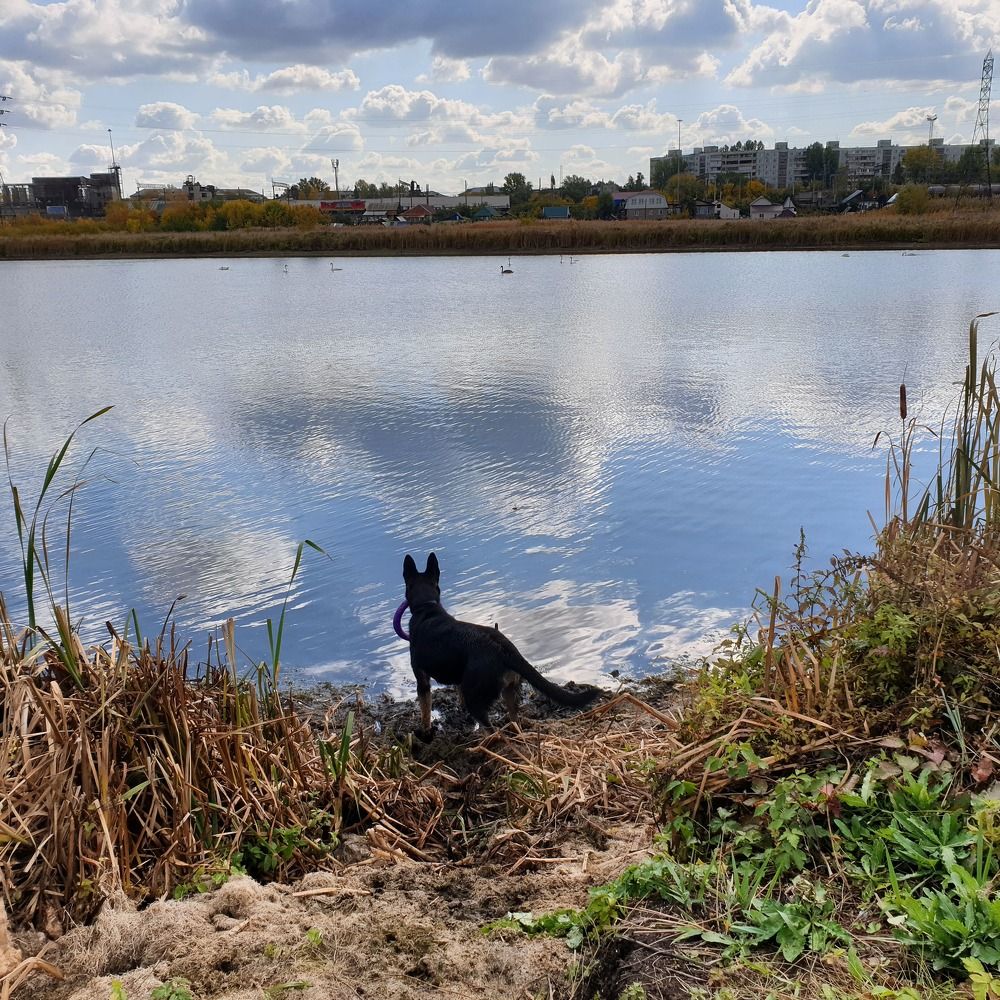 Photograph by Tatiana Denisova