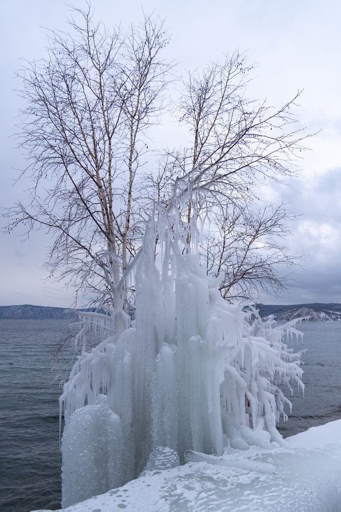 Фотография автора Марина Тирских