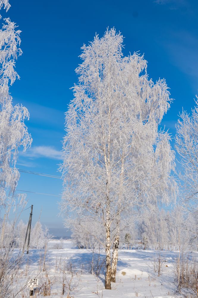 Фотография автора Марина Тирских