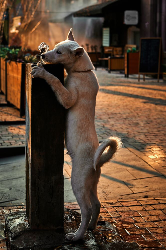 Photograph by Владислав Данилов